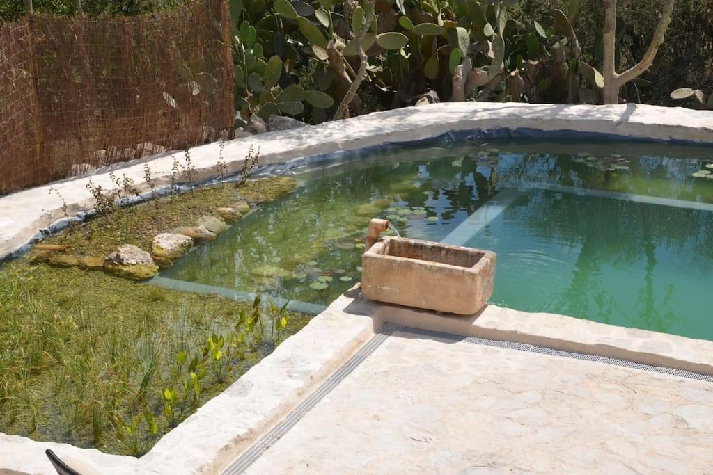 Vakantiehuis Son Vell. Mallorca. Casa Amb Piscina Ecologica. *