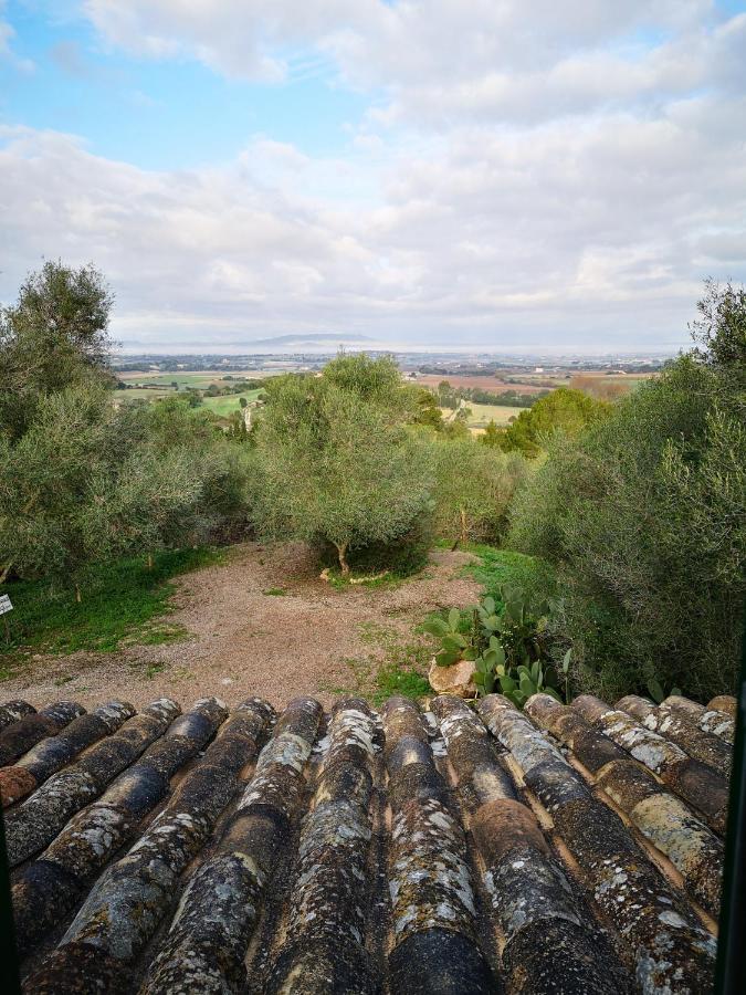 Son Vell. Mallorca. Casa Amb Piscina Ecologica. Vakantiehuis